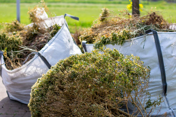 Household Junk Removal in Eutaw, AL